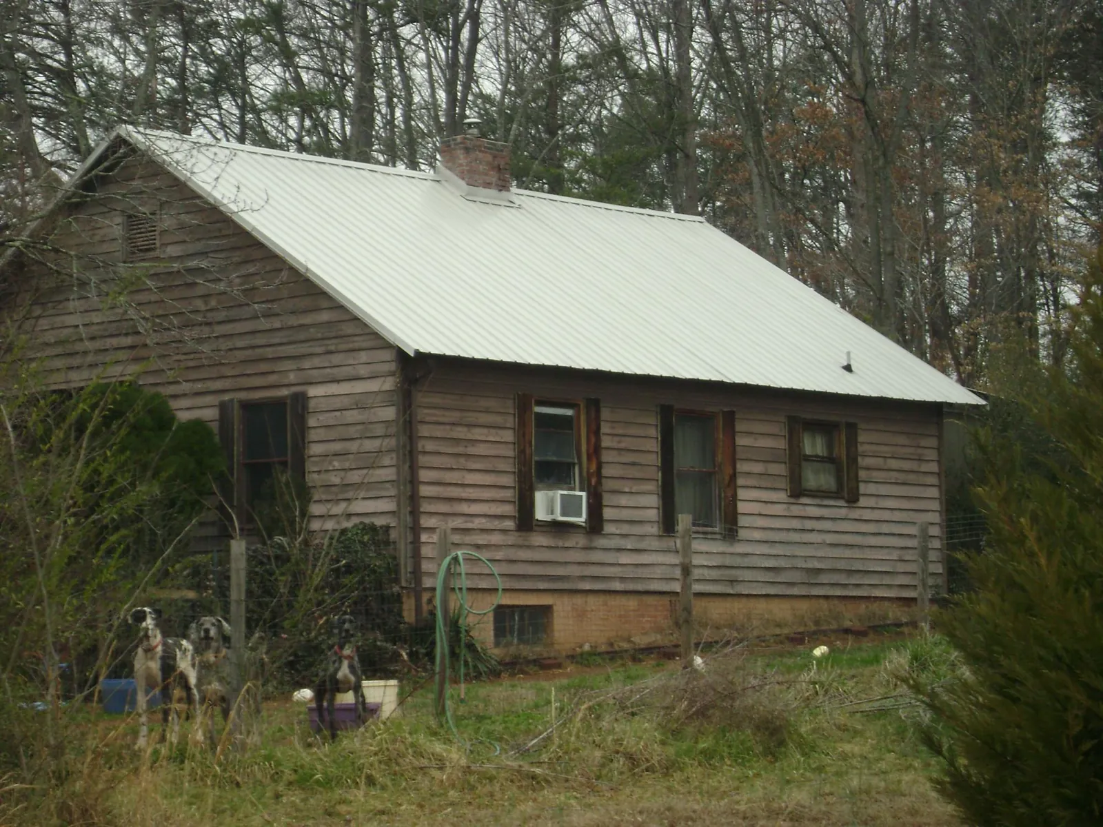 White metal roof on an old wood sided farmhouse, from a Asphalt Shingle Roof Repair job in Graytown